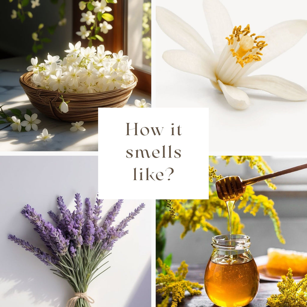 A four-panel collage with the central text 'How it smells like?' showing white blossoms in a basket, a close-up white flower with yellow stamens, a bundle of lavender tied with string, and honey dripping from a wooden dipper into a small glass jar.