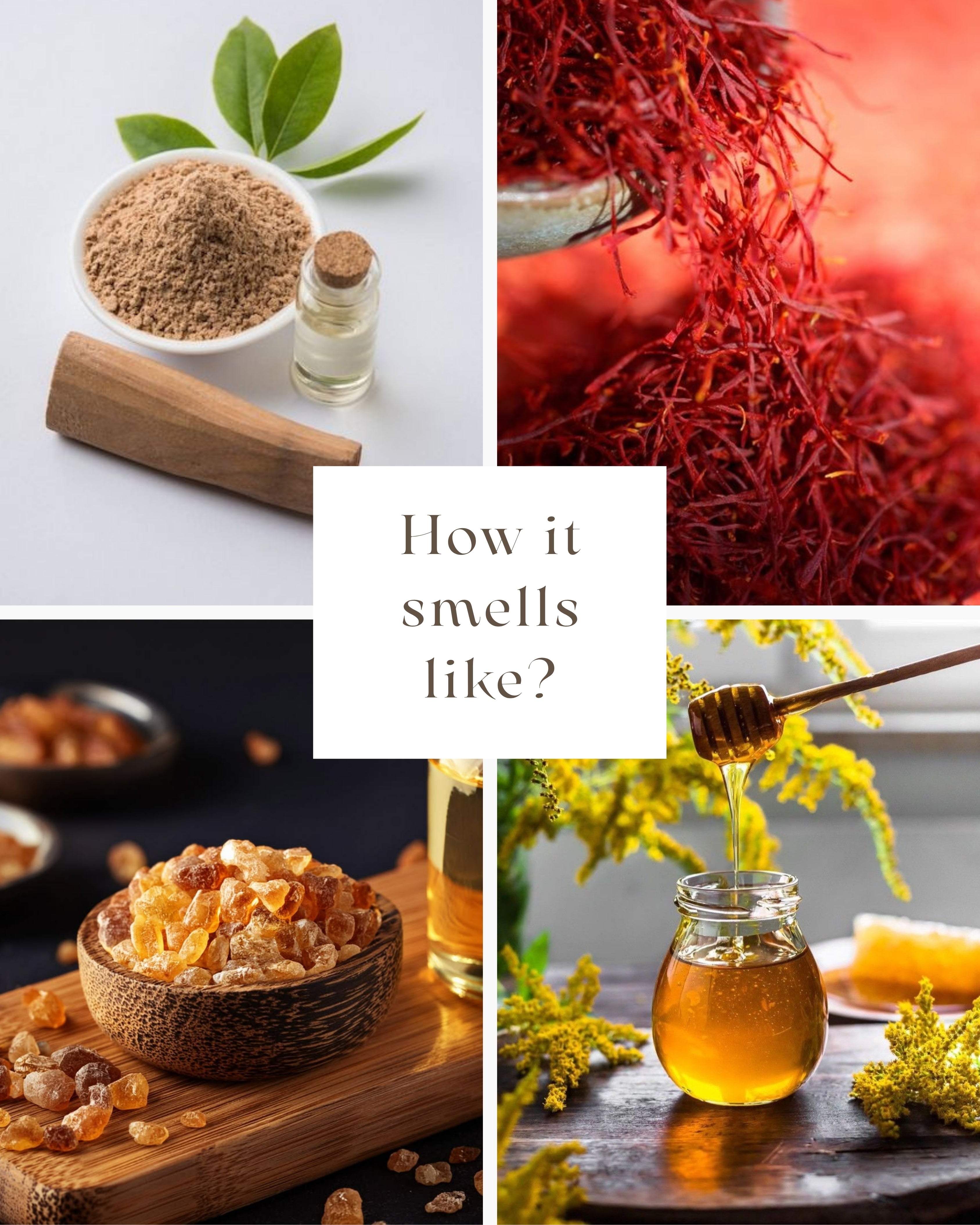A four-panel collage with the central text 'How it smells like?' showing ingredients or scent notes: a bowl of beige powder with green leaves and a small bottle, a close-up of bright red saffron threads, a bowl of amber resin or honey on a wooden board, and a glass jar of golden honey with a honey dipper.