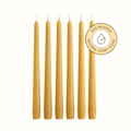 lumiere_roots_taper pack of 6 pure beeswax candlesticks taper